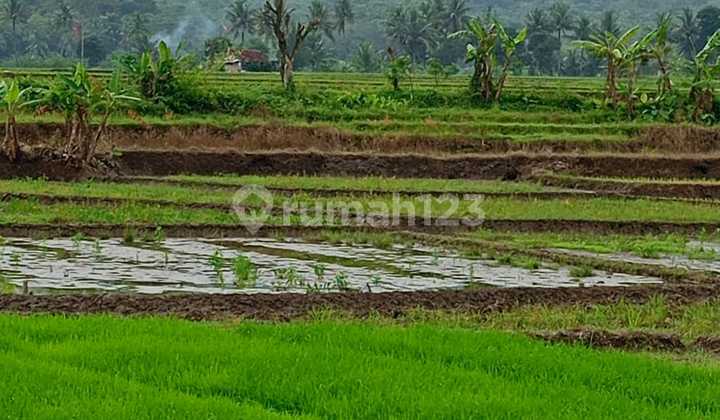 Agricultural Land for Sale - Buahdua, Sumedang