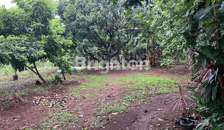 LAHAN HOEK MUAT 20 UNIT RUMAH - DEKAT UIN & LABSCHOOL LAHAN HOEK MUAT 20 UNIT RUMAH - DEKAT UIN & LABSCHOOL