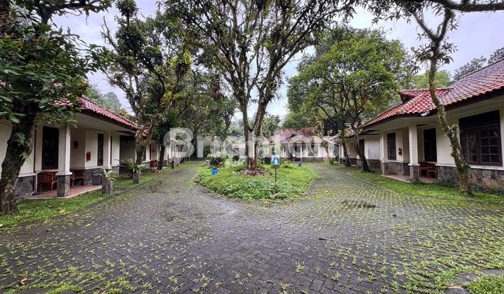 Villa Eksklusif 1,7 Hektar – 10 Menit dari Tol Bogor | Full Furnished + Bonus Kendaraan