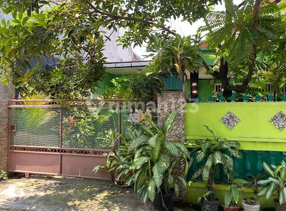 Rumah Siap Huni Dekat Mall Alam Sutra & Tol - Dijual Cepat 2