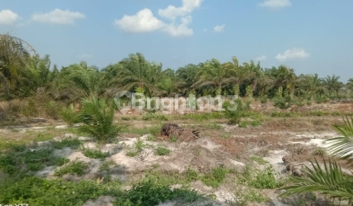 STRATEGIC 60-HECTARE LAND - GOLDEN NEXUS CONNECTING JAVA, KALIMANTAN & SUMATRA