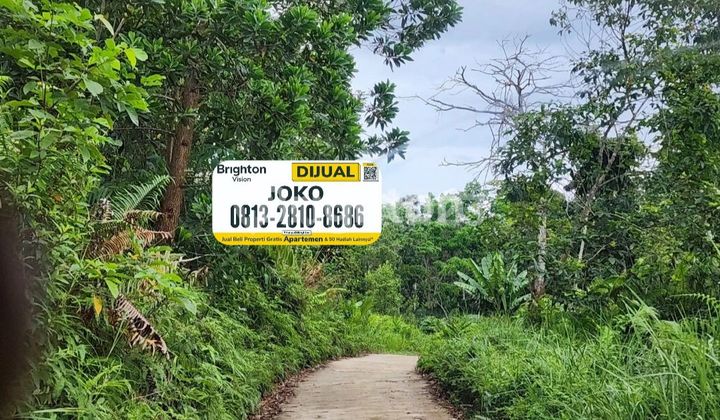 Tanah Lahan Daerah Jalan Soekarno Hatta KM 21 masuk sekitar 1KM Tanah Lahan Daerah Jalan Soekarno Hatta KM 21 masuk sekitar 1KM