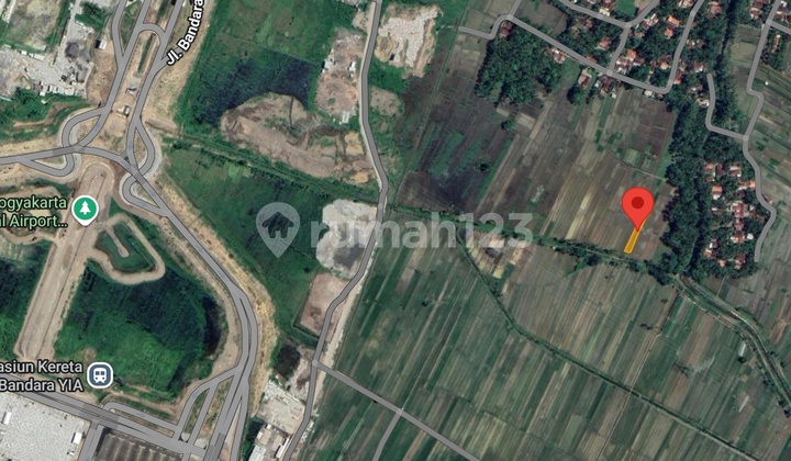 Tanah Sawah Area Kebonrejo Temon Kulonprogo