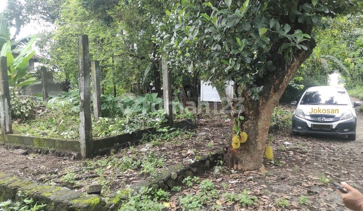 Tanah Pekarangan Area Palagan Dekat Hyatt Tanah Pekarangan Area Palagan Dekat Hyatt