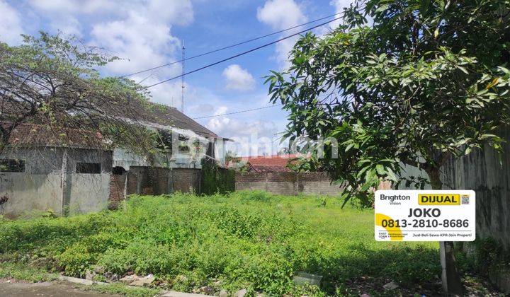 Tanah pekarangan daerah Sanjaya Muntilan 1