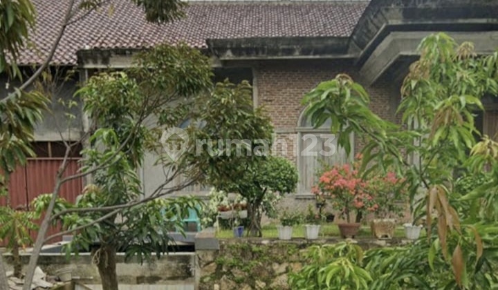 Rumah Nyaman Dan Asri Daerah Gang Kemuning 2