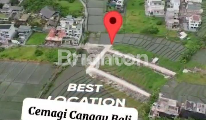 2 TANAH KAVLING DI CANGGU BALI