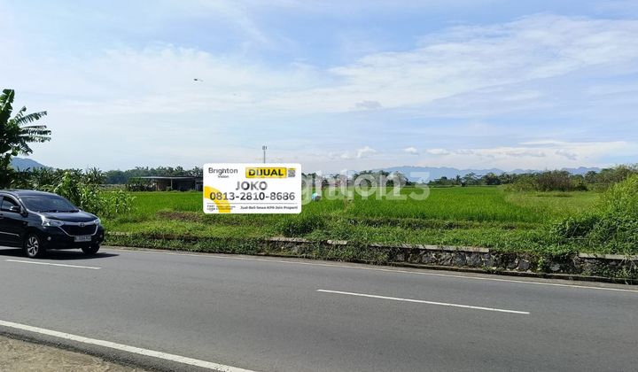 Rice field land in the Bandongan area, roadside. Rice field land in the Bandongan area, roadside.