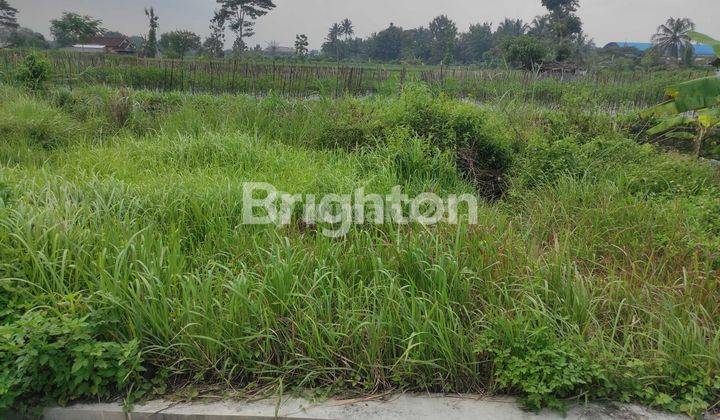 Tanah kavling daerah sedayu muntilan 1
