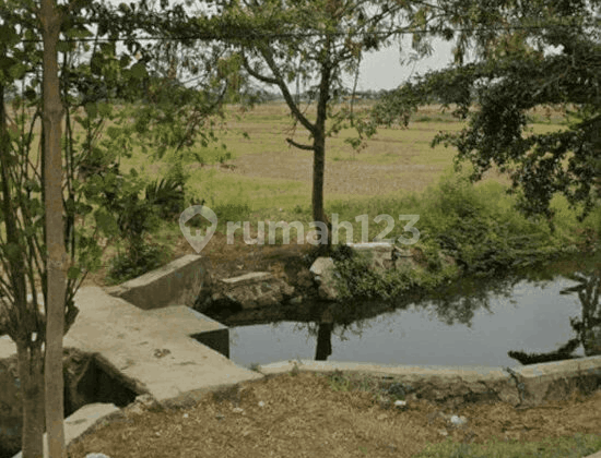 Tanah Luas  Cocok Untuk Perumahan Di Bekasi Jawa Barat 