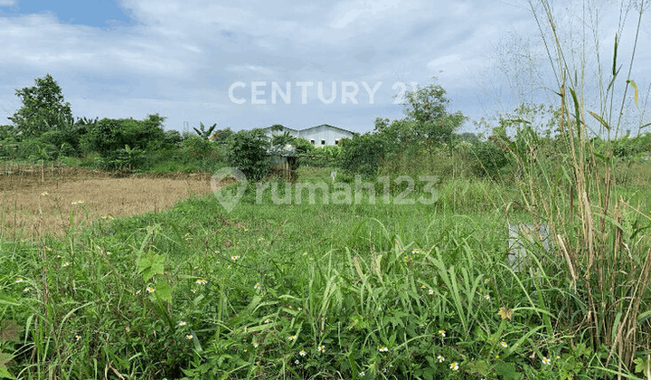 Tanah Luas Cocok Untuk Gudang Di Gunung Putri Bogor Tanah Luas Cocok Untuk Gudang Di Gunung Putri Bogor