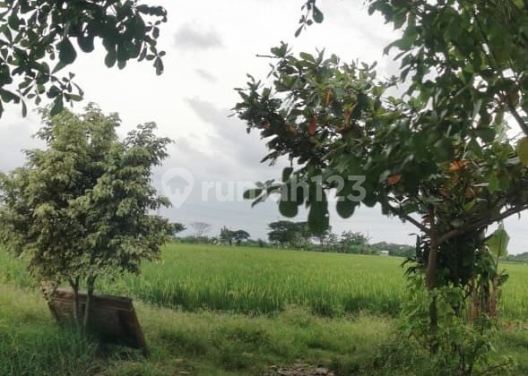 Tanah Luas Cocok untuk Perumahan di Bekasi Jawa Barat