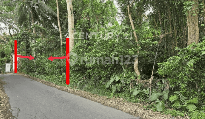 Tanah Luas dan Strategis dengan View Indah di Ubud Bali