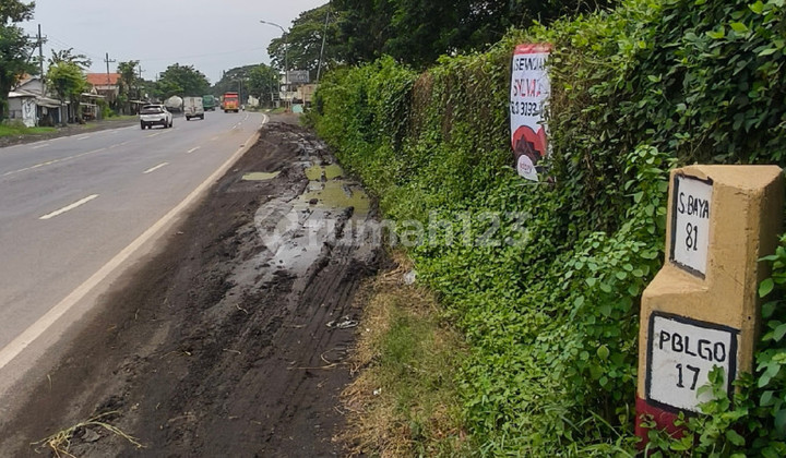 Pasuruan - Probolinggo Pantura Road Container Access, Factory Warehouse Area