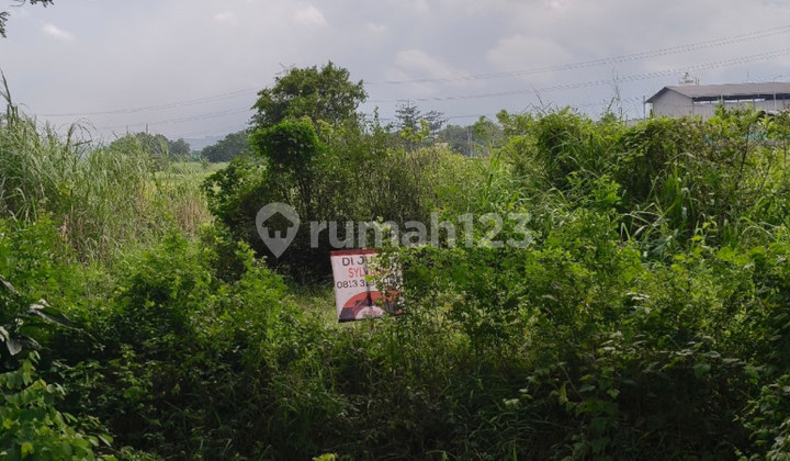 Tanah Raya Beji Pasuruan Dekat Polsek Beji, Gudang Indofood Tanah Raya Beji Pasuruan Dekat Polsek Beji, Gudang Indofood