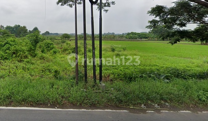 DIJUAL TANAH BALONGPANGGANG GRESIK NOL JALAN