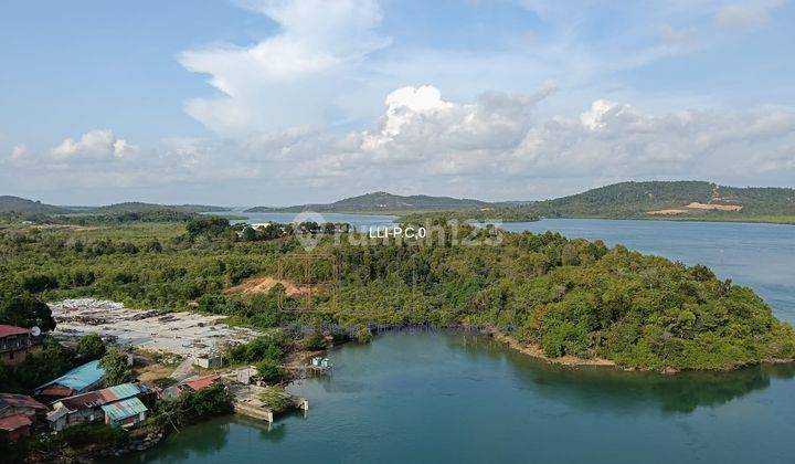 Dijual Lahan Pulau Rempang Jembatan 5  2