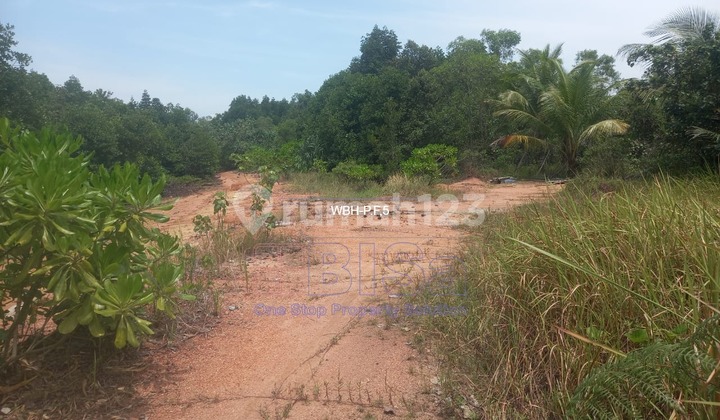 Dijual Lahan Industri Tb Karimun Ftz Harga Nego 1