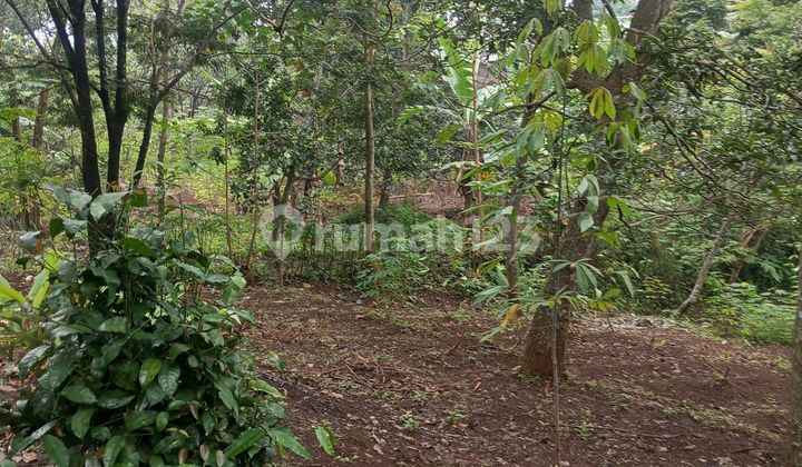 Dijual Tanah Cicalengka-Bandung Timur, Investasi Tanah View Pedesaan & Pegunungan,