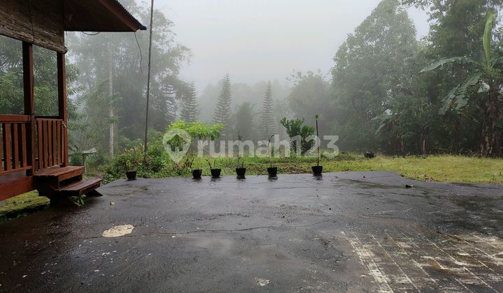 Asri House Wide Yard Tomohon Asri House Wide Yard Tomohon