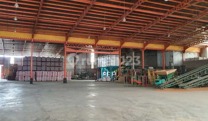 Dijual Pabrik atau Gudang Kawasan Industri Delta Silicon Lippo Cikarang Dijual Pabrik atau Gudang Kawasan Industri Delta Silicon Lippo Cikarang