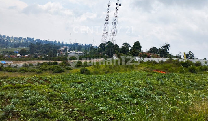 Tanah Di Cikalong Wetan Padalarang 3 Hektar Tanah Di Cikalong Wetan Padalarang 3 Hektar