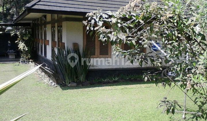 Rumah Villa Trinity Ada Area Taman Luas Belakang