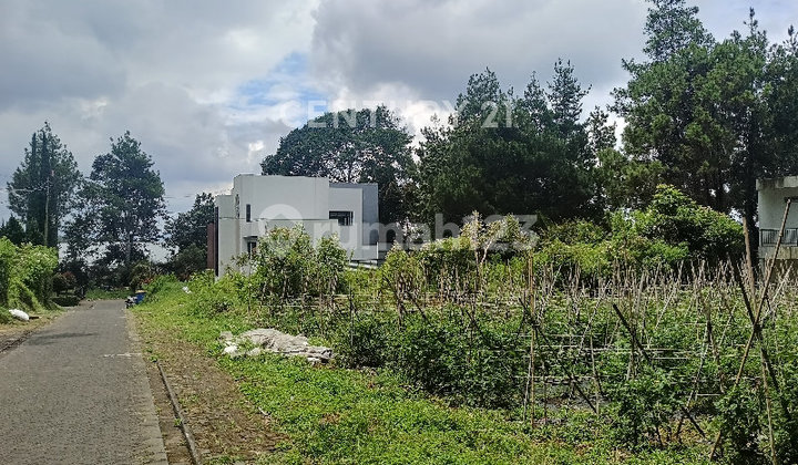 Kavling Villa Istana Bunga Parongpong Lembang Bandung 