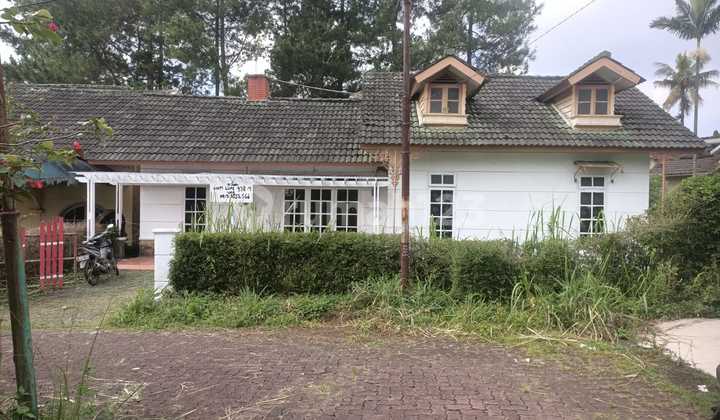 For Sale Villa Green Apple Puncak 2