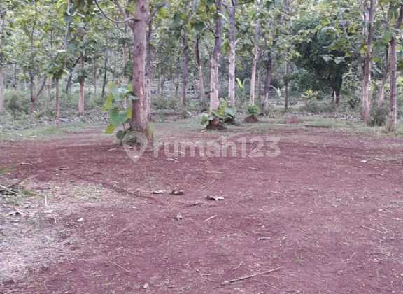 Tanah Usaha Komersil Daerah Mojokerto Prospek Cerah Tanah Usaha Komersil Daerah Mojokerto Prospek Cerah