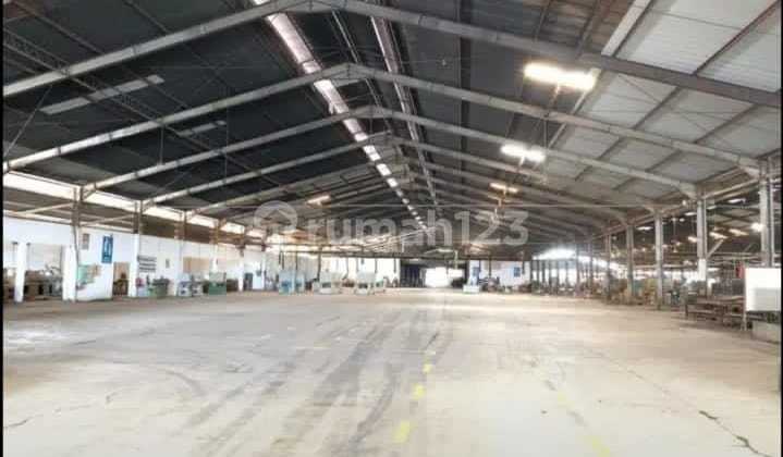 For Rent: Large Warehouse on Pantura, Demak, Central Java For Rent: Large Warehouse on Pantura, Demak, Central Java