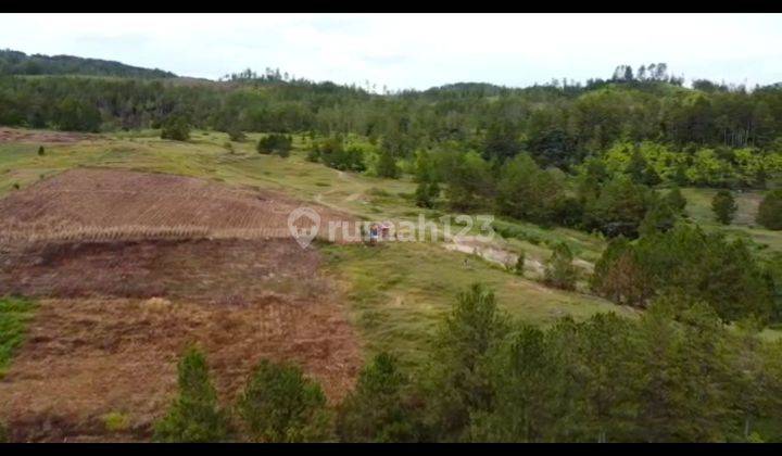 Dijual Tanah Di Danau Toba Simanindo. Samosir 600rb/meter 1