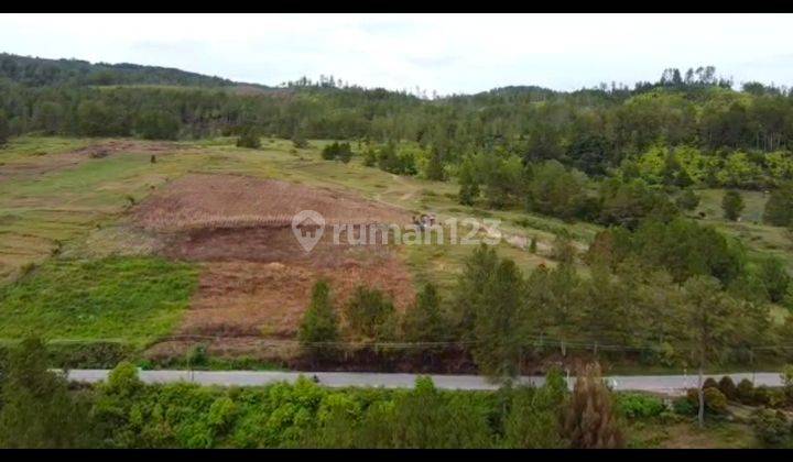 Dijual Tanah Di Danau Toba Simanindo. Samosir 600rb/meter 2