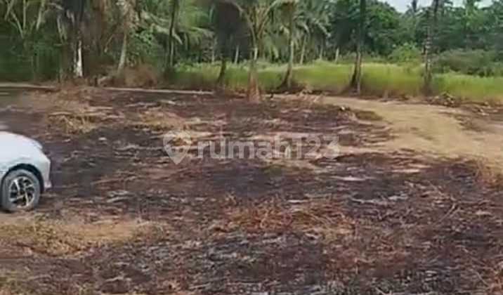 Industrial Land for Sale by the Beach, Laba Labuan, Pandeglang, Cilegon, Banten