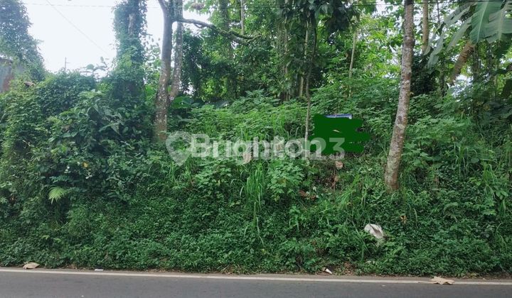 Tanah borongan di Kedung kandang kota malang