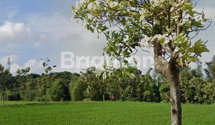 Tanah di Tasikmadu Lowokwaru Malang 1