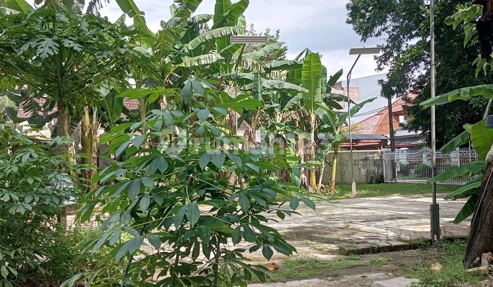 Dijual Tanah Lokasi Strategis Di Deplu Bintaro, Jakarta Selatan(dg) 2