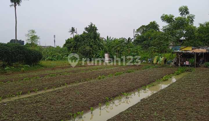 For Sale Cheap Land in Cimone Below NJOP Price, Gatot Subroto Street, Tangerang (lm) For Sale Cheap Land in Cimone Below NJOP Price, Gatot Subroto Street, Tangerang (lm)