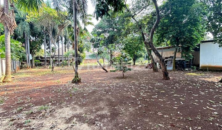 Dijual Lahan Strategis Lokasi Tb Simatupang Jaksel ( Ff/lm) Dijual Lahan Strategis Lokasi Tb Simatupang Jaksel ( Ff/lm)