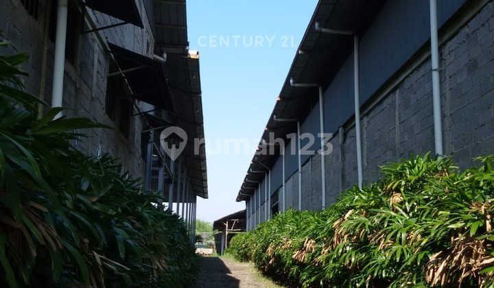 Good Warehouse Ready to Use in Royom Cirebon