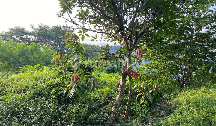 Ready-to-Build Plot in The Riverville Lot 8A Lebak Bulus South Jakarta Free House Design