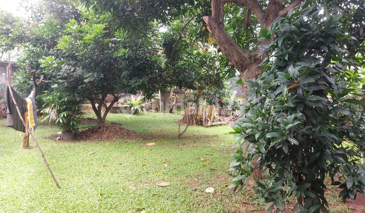 Di Jual Rumah Asri dengan Halaman Luas di Pondok Labu 2