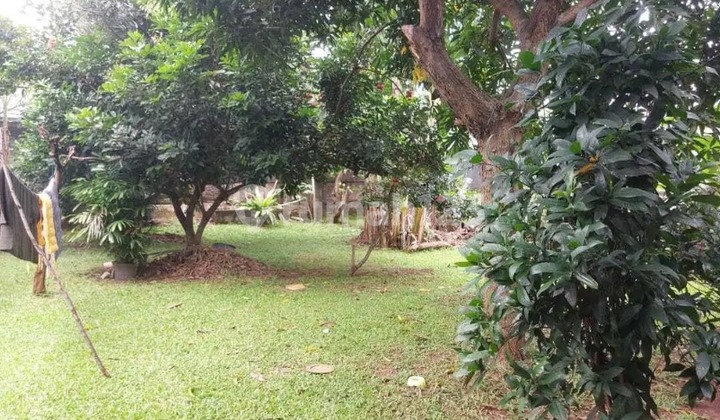 Di Jual Rumah Asri dengan halaman luas di Pondok Labu 2