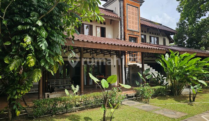 Fasilitas Lapangan Padel