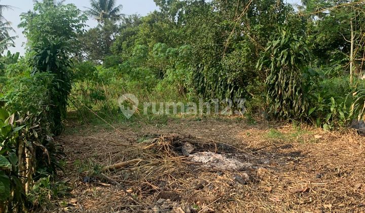 Dijual Tanah Cisauk cocok untuk Investasi