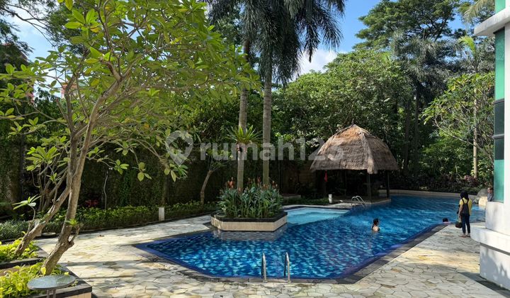 Dijual Murah 4 Br Apt Hampton Pondok Indah Siap Huni 2