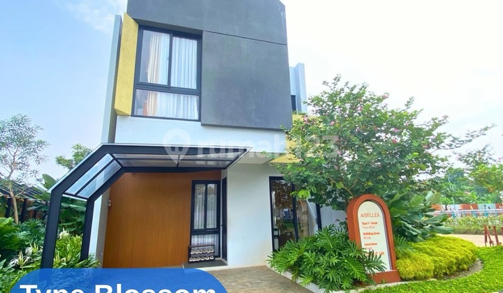 Achillea Anwa Bintaro Residance