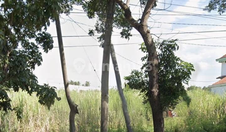 Dijual Tanah Nol Jalan Provinsi Jl. Banyuwangi, Situbondo, SHM Dijual Tanah Nol Jalan Provinsi Jl. Banyuwangi, Situbondo, SHM