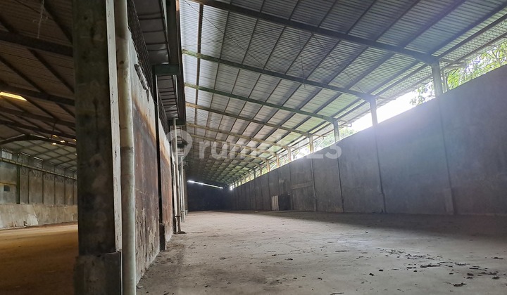 WAREHOUSE in Citerurup Warehouse Complex for RENT Own Road Access.