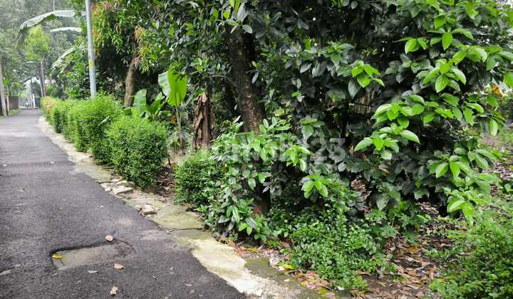 Tanah dijual murah daerah Cipayung Jakarta Timur, cocok utk cluster rumah